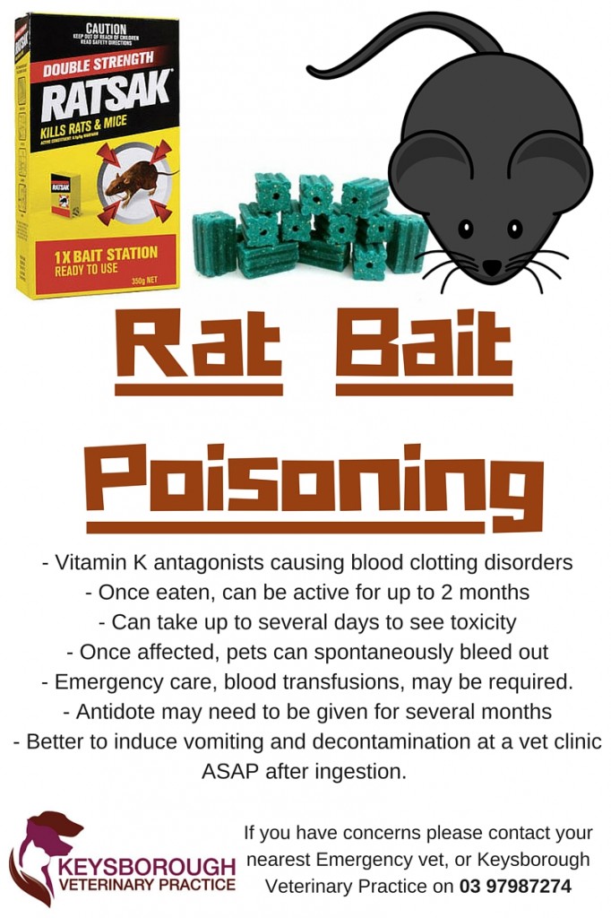 Rat-Bait-Poisoning