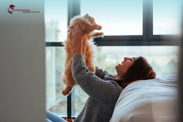 First-Time Cat Owner Mistakes and How to Avoid Them