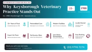What Makes Keysborough Veterinary Practice Different from Other Vet Clinics